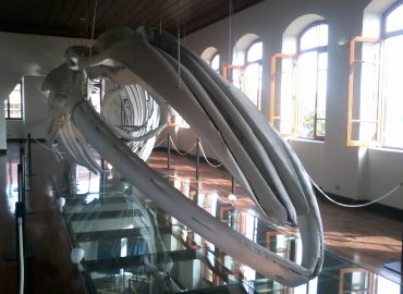 museu_de_pesca_Santos_Semana_Nacional_de_Museus